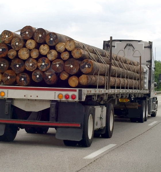 Flatbed Distpach Service